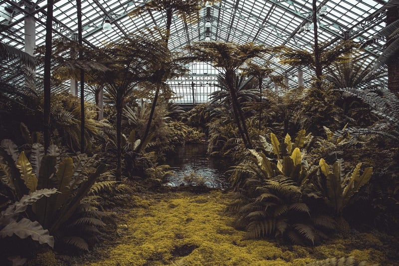 Botanical Conservatory